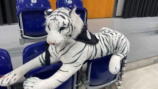 Insgesamt nahmen 16 Athleten des LAC Krostitz e. V. am Samstag, dem 07.02.2026, stolz am 21. MITGAS Indoor Meeting sowie am Schülermeeting in der beeindruckenden Quarterback Arena in Leipzig teil und sammelten dort wertvolle Wettkampferfahrungen.

Mit großen Augen betraten die Kinder die Halle und bestaunten die Leichtathletik-Anlagen. Nach dem Aufwärmen wurden sie ihren Läufen zugeteilt. Aus Aufregung wurde Konzentration – und alle erzielten persönliche Bestleistungen. 

Wir freuen uns sehr über die hervorragenden Leistungen der jungen und erwachsenen Sportler des LAC. Sie haben sich einer anspruchsvollen Herausforderung gestellt und dabei persönliche Höchstleistungen sowie individuelle Fortschritte bewiesen. 

Ein großer Dank geht auch noch einmal an die Eltern vor Ort, die mit tosendem Applaus angefeuert haben. 

Weiter Information findet ihr unter www.lac-Krostitz.de

#lackrostitz #leichtathletik #stolz #wettkampf #lucky